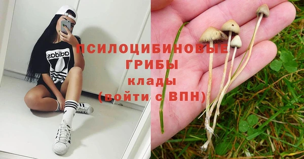 ешки Балабаново