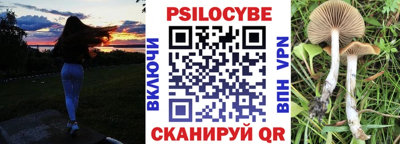 omg ТОР  Козельск  Псилоцибиновые грибы Cubensis  цены  